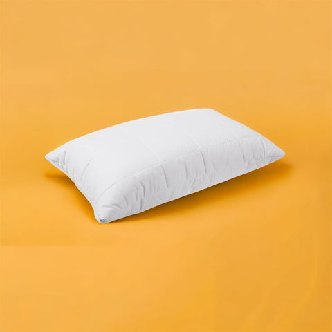 Citrus infusion fresh pillow - pillows