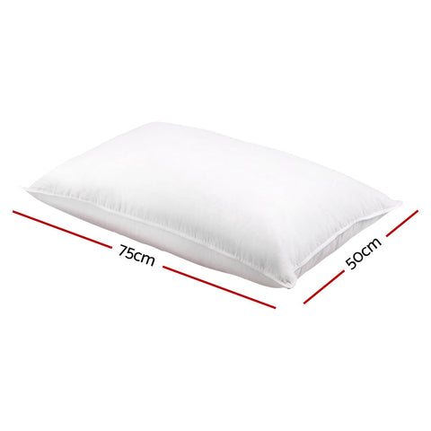 Duckdown 1kg feather x 2 pillows